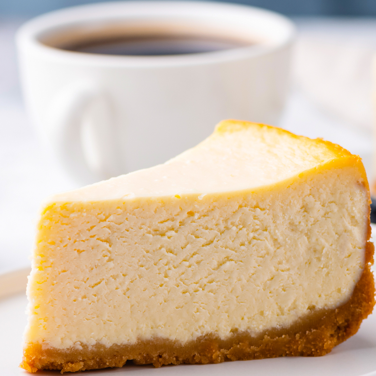 Cheesecake Slice