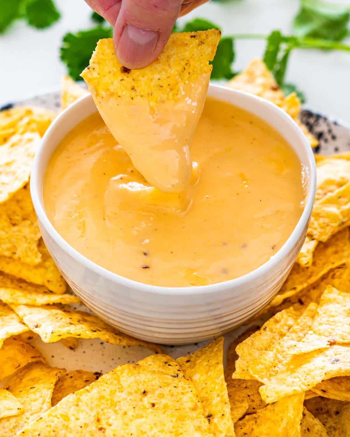 Nachos and Cheese